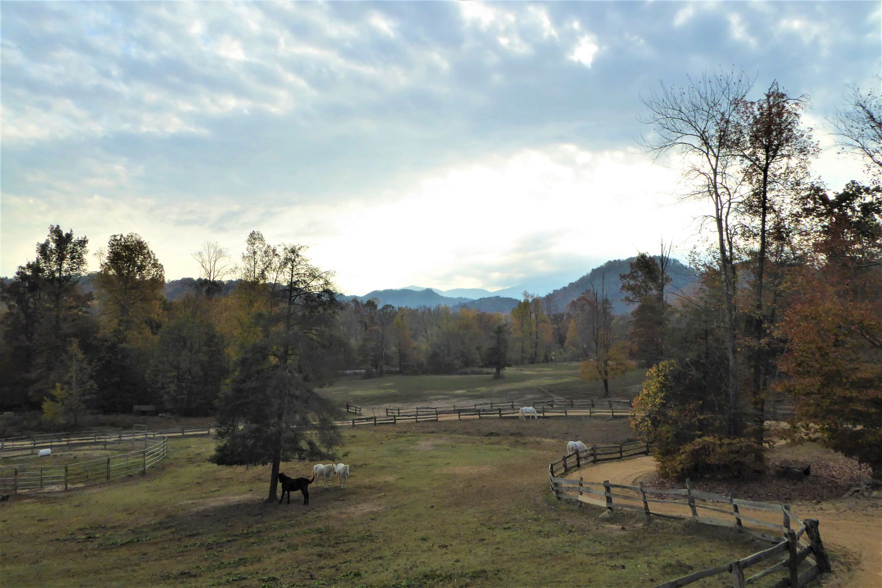 Tennessee dude ranch